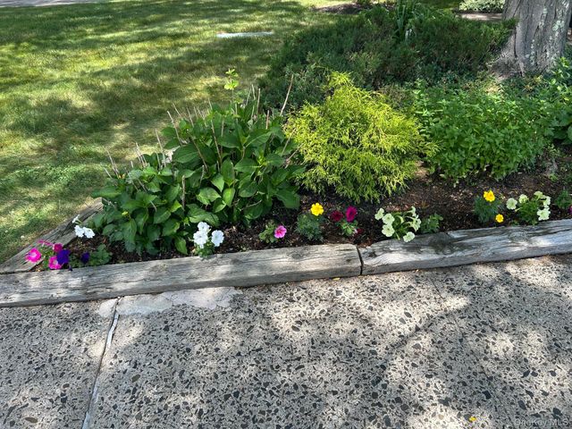 284 Sneden Place W 284, Spring Valley, NY 10977