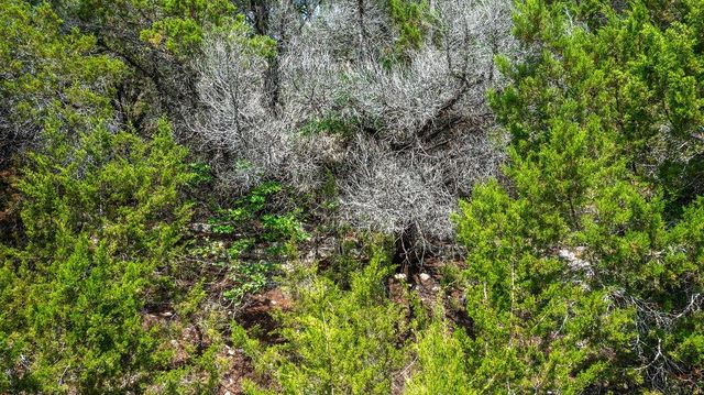 1306 Daviot DR, Spicewood, TX 78669