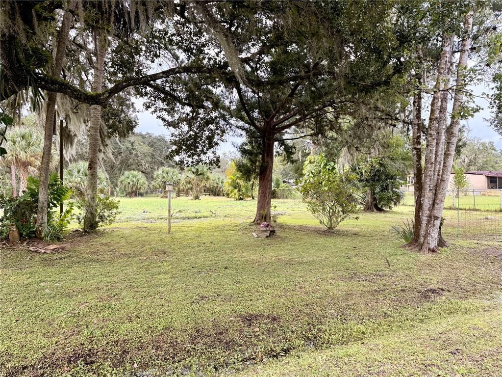 1003 SAINT CATHERINE AVENUE, Christmas, FL 32709