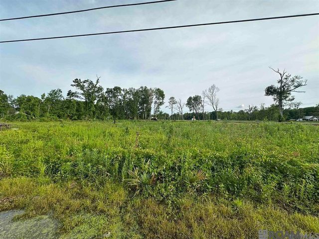 42455 Church Point Rd, Gonzales, LA 70737