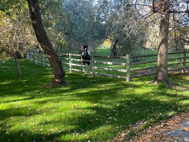 187 N WATERHOLE WAY, Grantsville, UT 84029