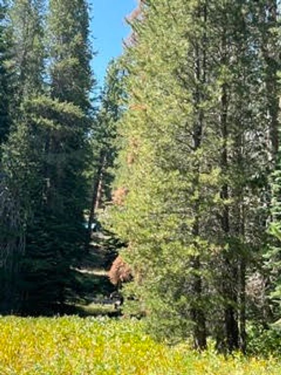 Image 28 of property listing at 0 Hlk135-Cabin @ Heart Meadow, Other, CA 93262
