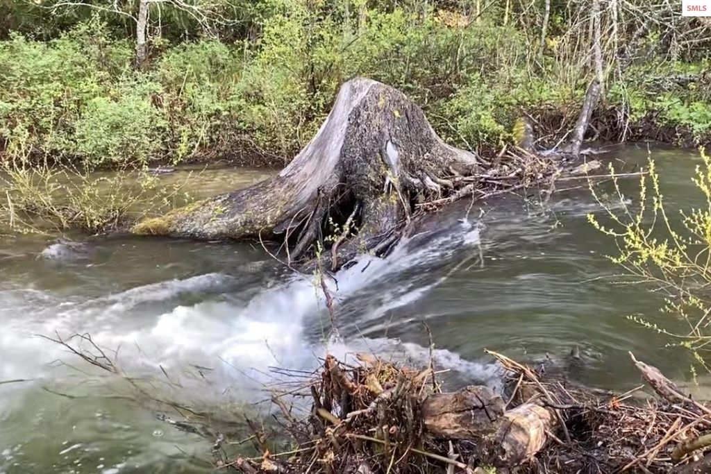 NKA Jenny Lane, Sandpoint, ID 83864 photo 11