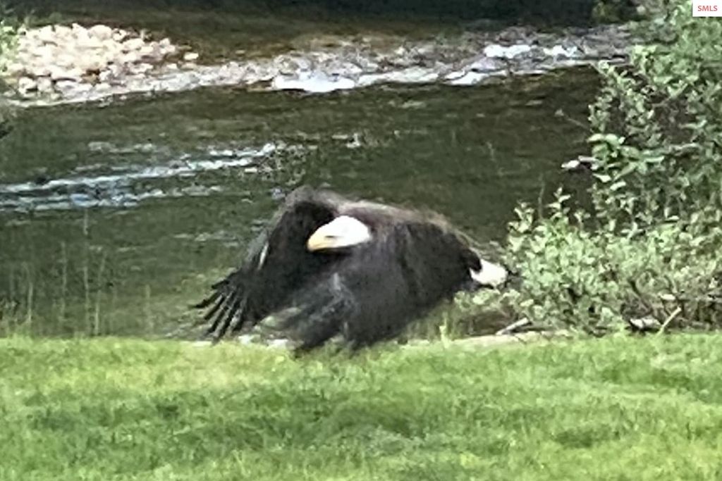 NKA Jenny Lane, Sandpoint, ID 83864 photo 12