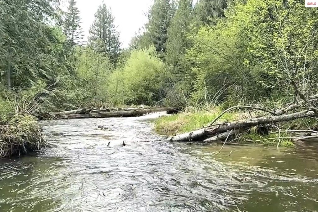 NKA Jenny Lane, Sandpoint, ID 83864 photo 19