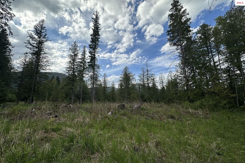 NKA Jenny Lane, Sandpoint, ID 83864 photo 25