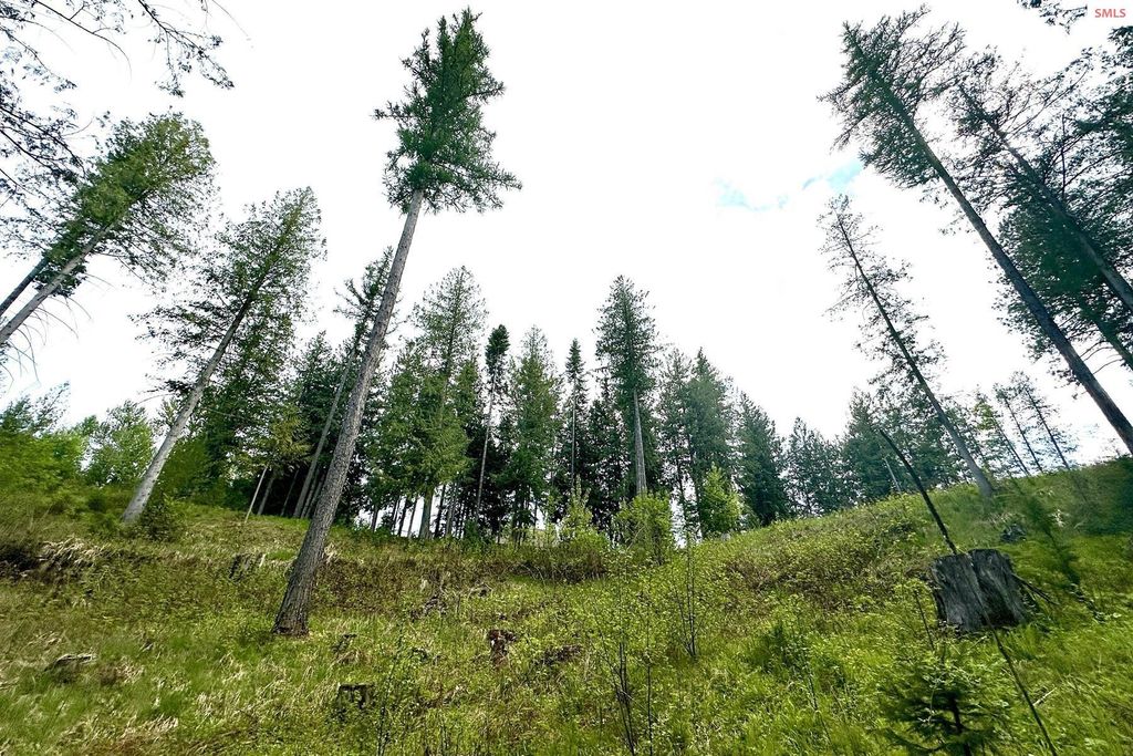 NKA Jenny Lane, Sandpoint, ID 83864 photo 26