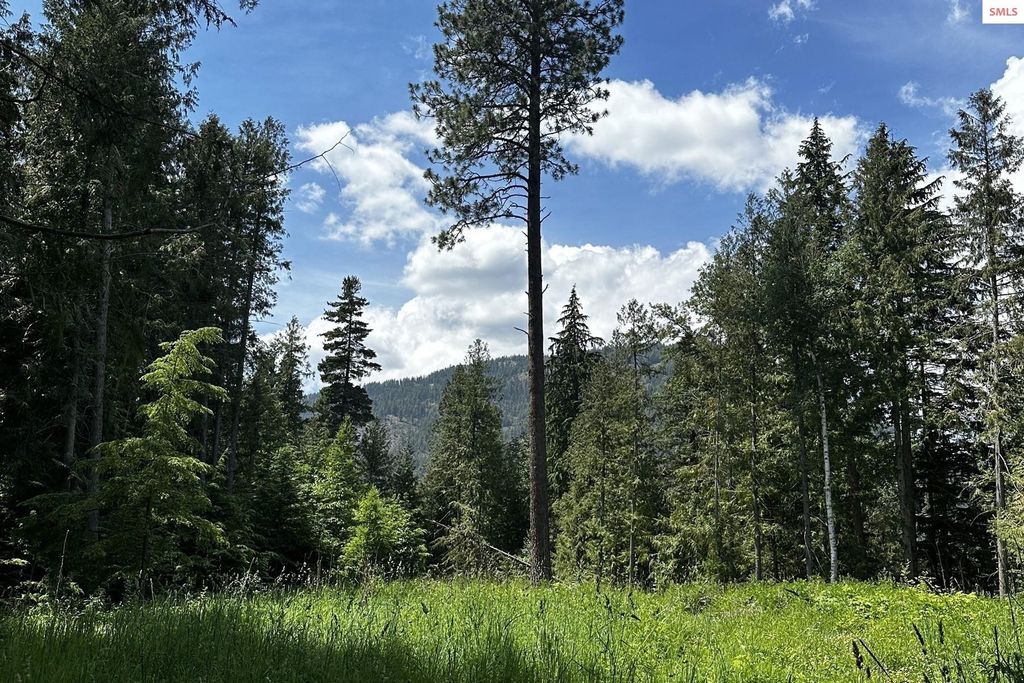 NKA Jenny Lane, Sandpoint, ID 83864 photo 28