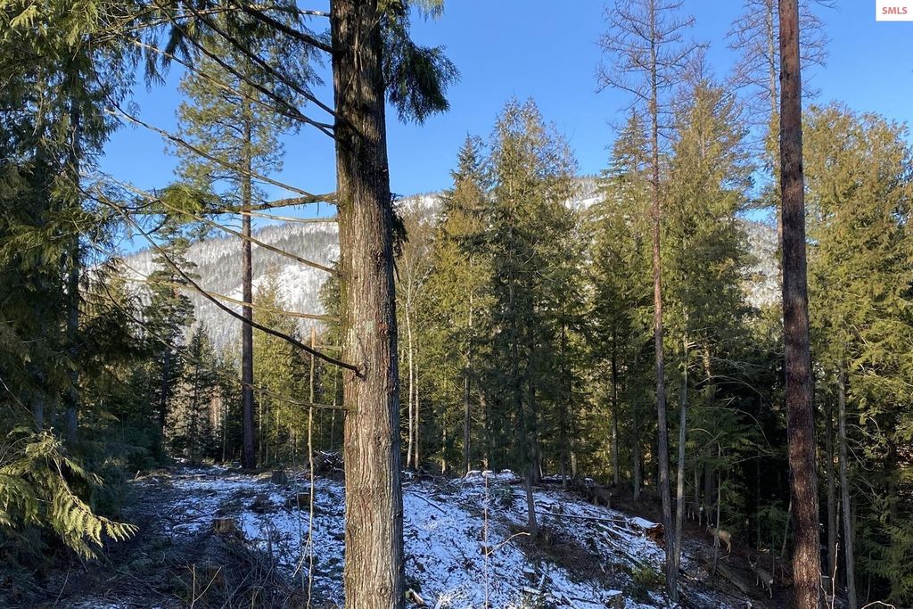 NKA Jenny Lane, Sandpoint, ID 83864 photo 32