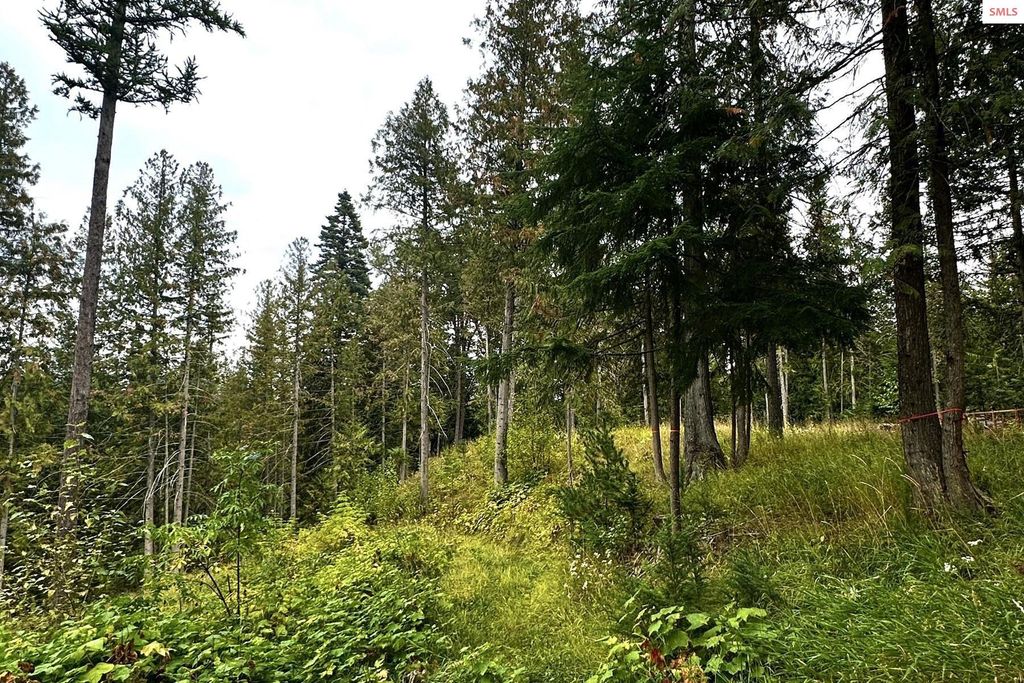 NKA Jenny Lane, Sandpoint, ID 83864 photo 33