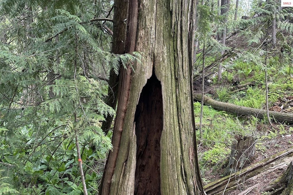 NKA Jenny Lane, Sandpoint, ID 83864 photo 36