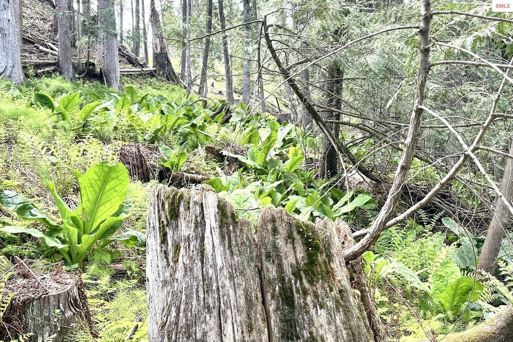 NKA Jenny Lane, Sandpoint, ID 83864 photo 38