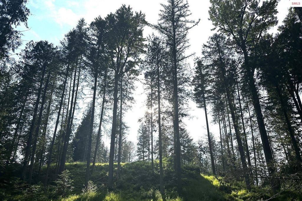 NKA Jenny Lane, Sandpoint, ID 83864 photo 4