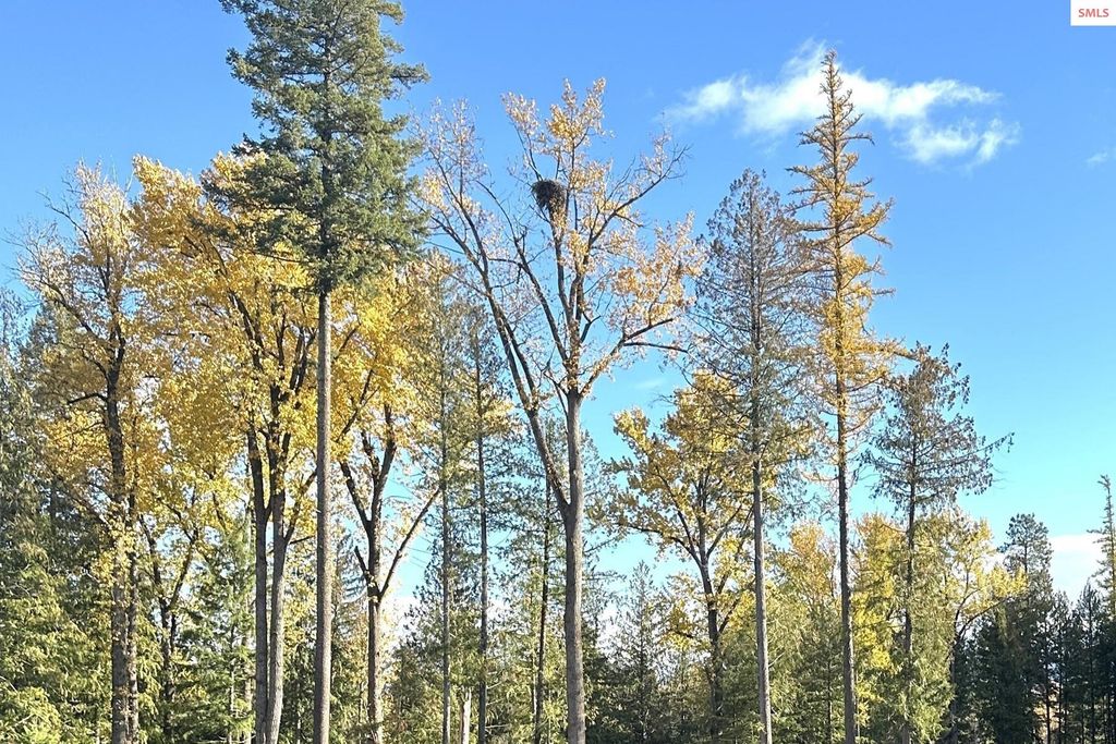 NKA Jenny Lane, Sandpoint, ID 83864 photo 5