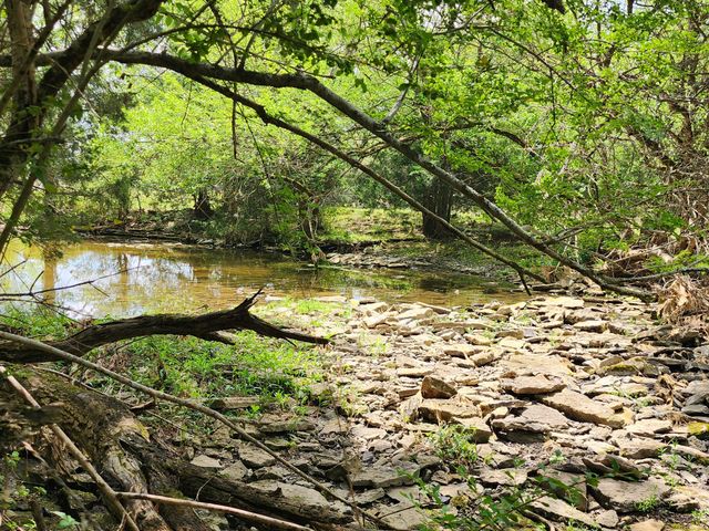 0 Murray Kittrell Rd, Readyville, TN 37149
