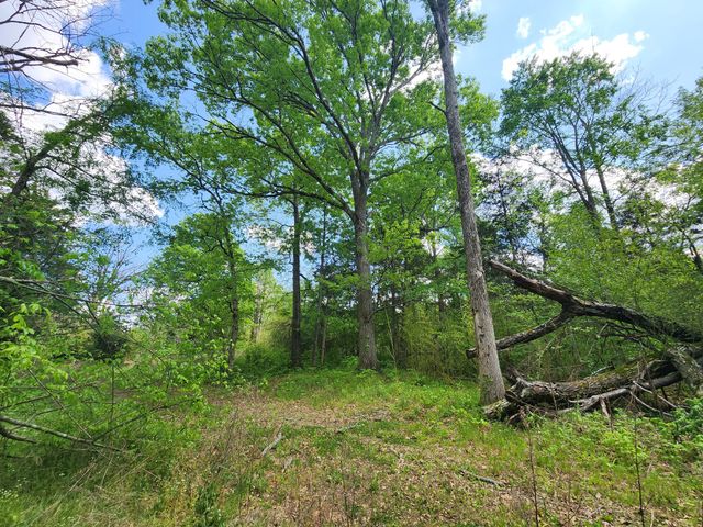 0 Murray Kittrell Rd, Readyville, TN 37149