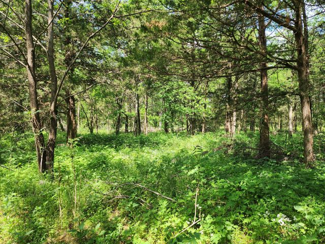 0 Murray Kittrell Rd, Readyville, TN 37149