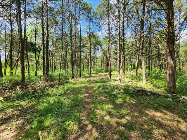 0 Murray Kittrell Rd, Readyville, TN 37149