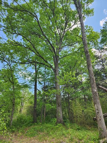 0 Murray Kittrell Rd, Readyville, TN 37149