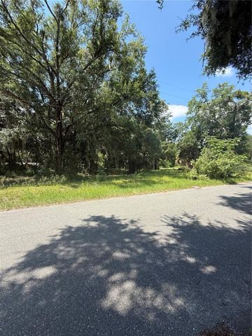1101 E MAGNOLIA STREET, Leesburg, FL 34748