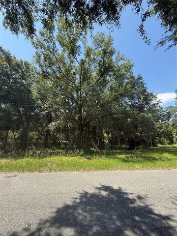 1101 E MAGNOLIA STREET, Leesburg, FL 34748