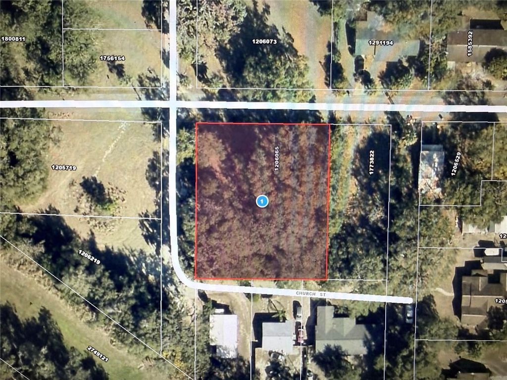 1101 E MAGNOLIA STREET, Leesburg, FL 34748