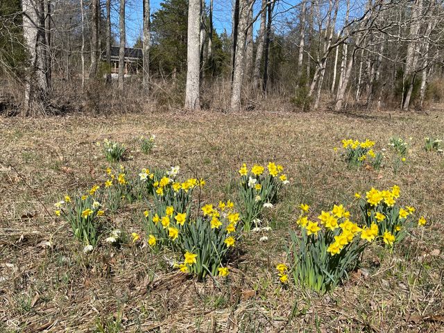 7899 N Briarhopper Road, Monrovia, IN 46157