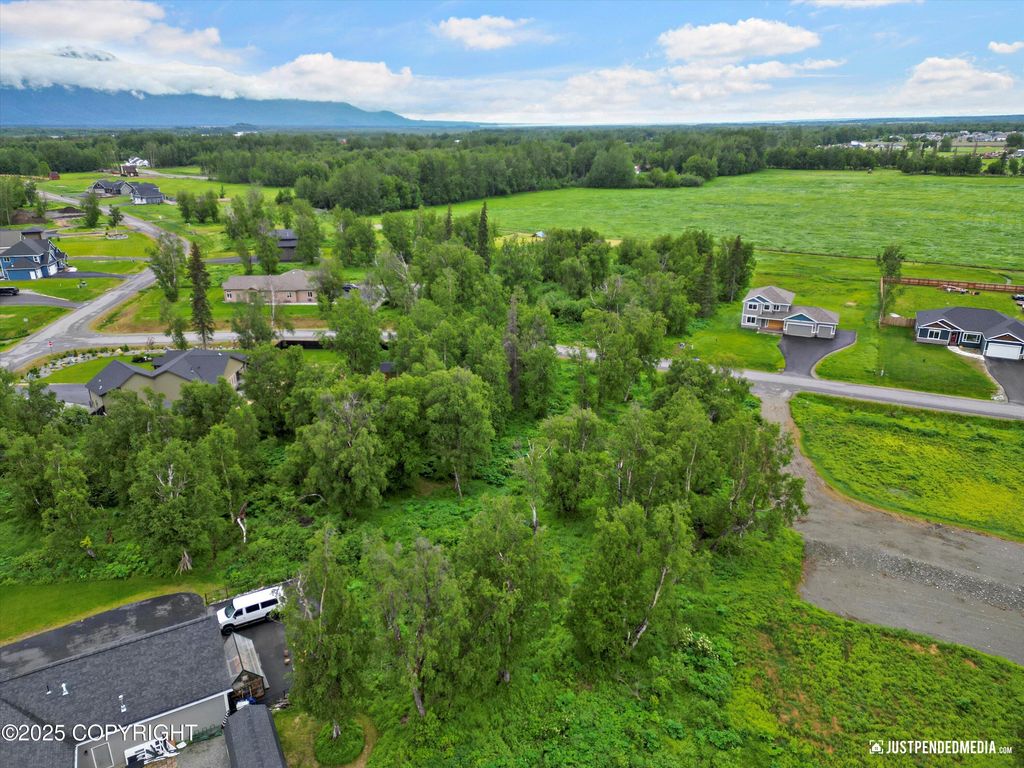 15161 E Rocky Point Drive, Palmer, AK 99645