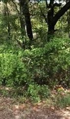 0000 Lakeland Road, Payne Springs, TX 75156