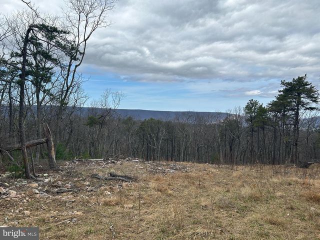 121 SCOTCH PINE LN, Wardensville, WV 26851