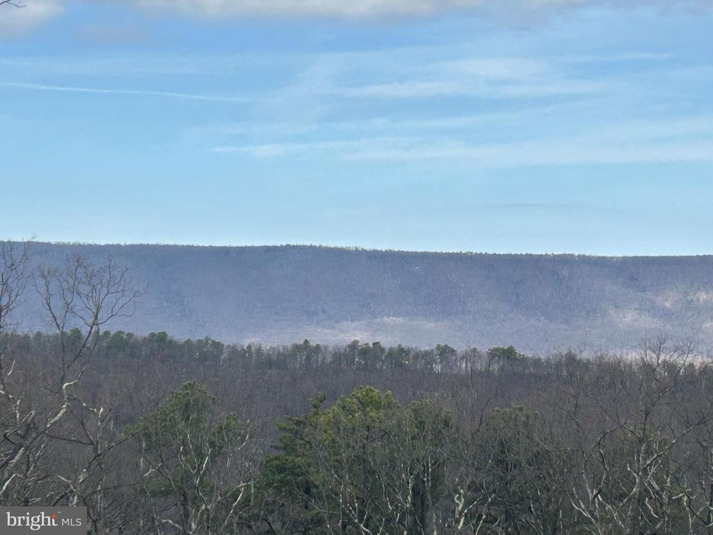 121 SCOTCH PINE LN, Wardensville, WV 26851