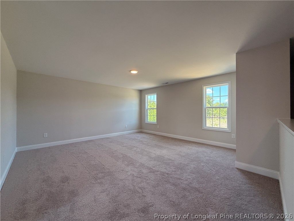 253 Crowville Street, Raeford, NC 28376 — photo 21