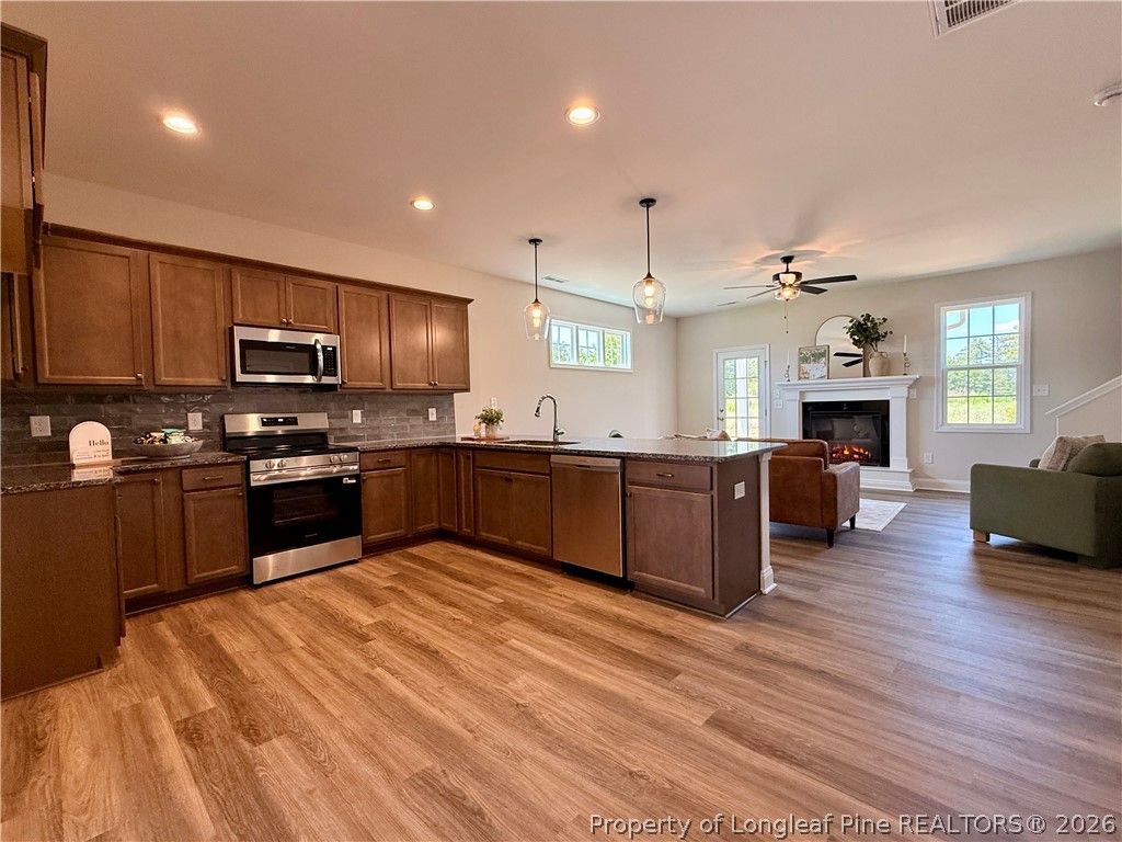 253 Crowville Street, Raeford, NC 28376 — photo 5