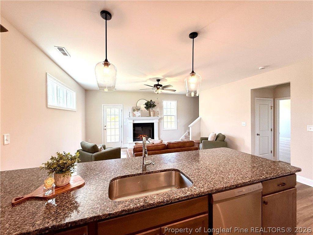 253 Crowville Street, Raeford, NC 28376 — photo 8