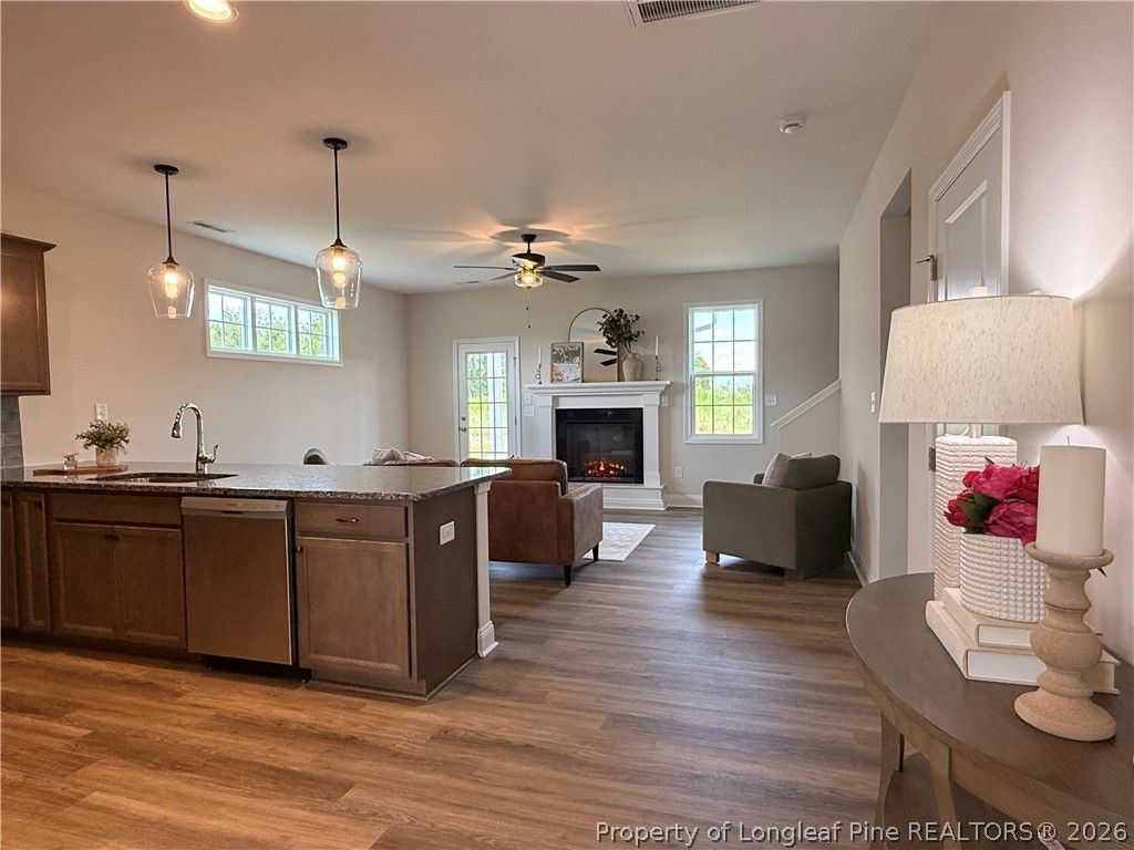253 Crowville Street, Raeford, NC 28376 — photo 9