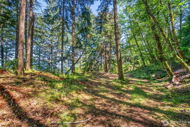 10 Atticus Lane, Orcas Island, WA 98245