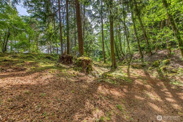 10 Atticus Lane, Orcas Island, WA 98245