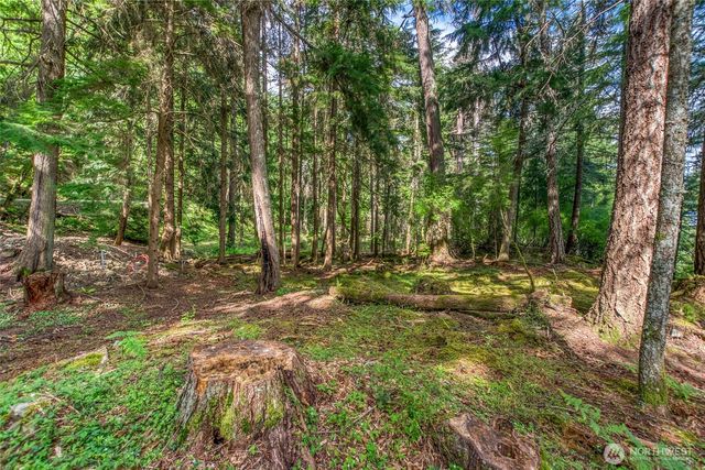 10 Atticus Lane, Orcas Island, WA 98245