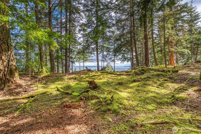 10 Atticus Lane, Orcas Island, WA 98245