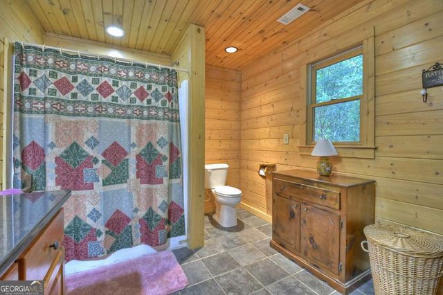 730 Riverside Lane, Blue Ridge, GA 30513