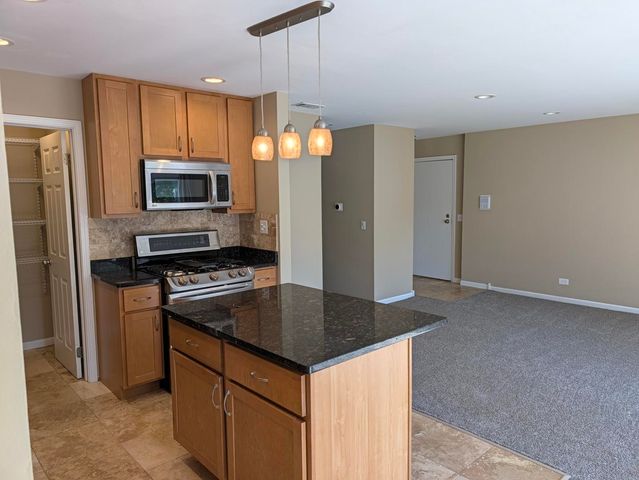 103 Marble Hill Court B2, Schaumburg, IL 60193