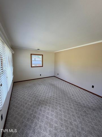 914 East Mountain View Road, Johnson City, TN 37601