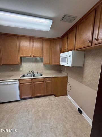 914 East Mountain View Road, Johnson City, TN 37601