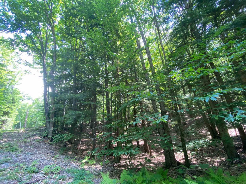 Tyler Way Unit 34, Bath, NH 03740