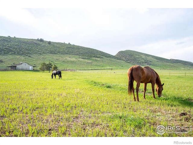 6085 Spring Glade Road, Loveland, CO 80538