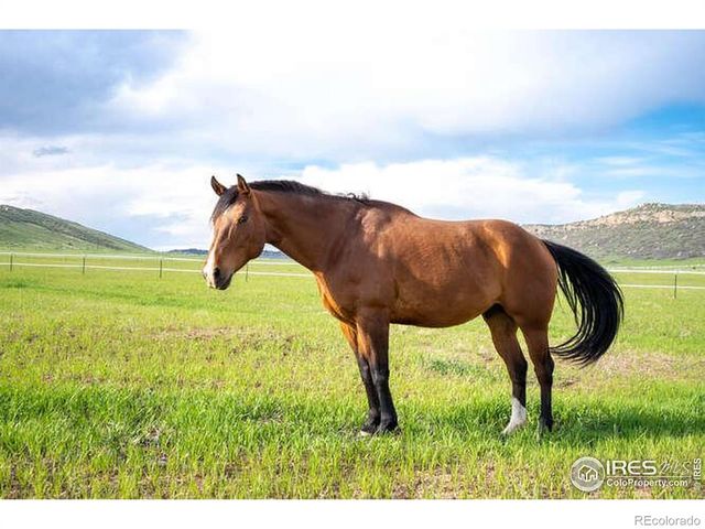 6085 Spring Glade Road, Loveland, CO 80538
