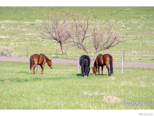 6085 Spring Glade Road, Loveland, CO 80538