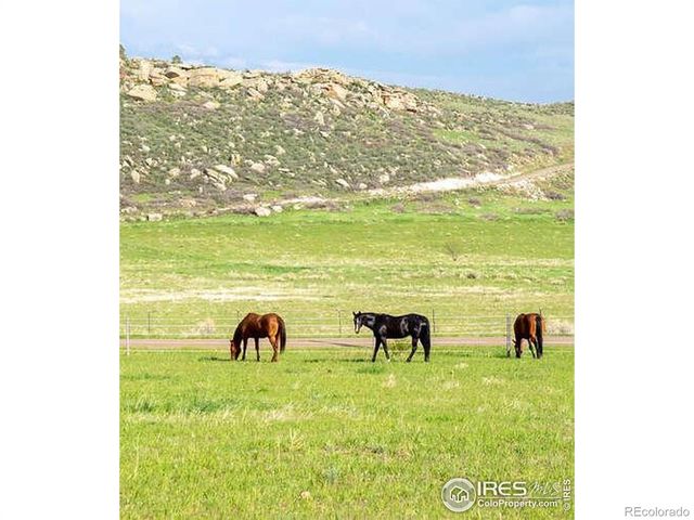 6085 Spring Glade Road, Loveland, CO 80538