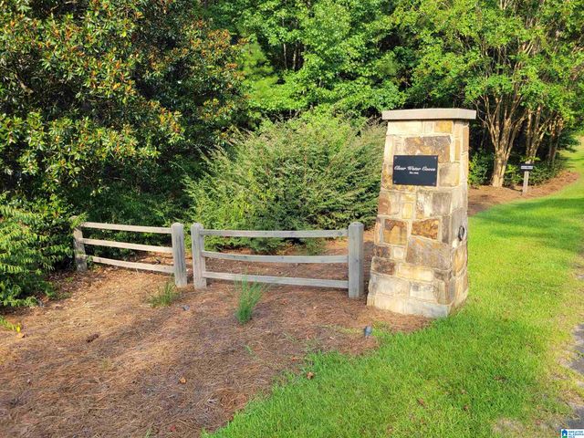 Lot 10 COUNTY ROAD 2015, Crane Hill, AL 35053