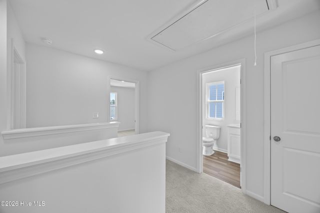 173 Brookfield Branch Road 11, Hampstead, NC 28443
